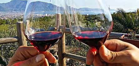 Photo 2 Sorrento, Pompei & Wine-Tasting: walk, visit & drink (8hour tour)