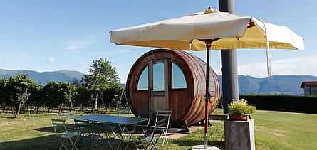 صورة 2 Wine tour & tasting - Prosecco Experience