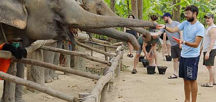 Photo 2 Samui: Sightseeing and Interacting with Elephant by Off-road 4x4