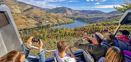 Photo 2 Douro Valley Private Day Trip from Lisbon: Vineyards & River View
