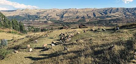Photo 2 Private Transfer From Puno to Chivay With a 2 Hour Stop
