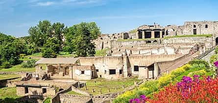Photo 2 Private day trip: Naples to Pompei, Sorrento,private local driver
