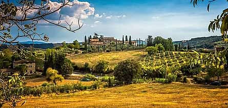 Foto 2 Carmignano Tour Privado de Medio Día: Cuna del primer Cabernet-Sauvignon de la Toscana