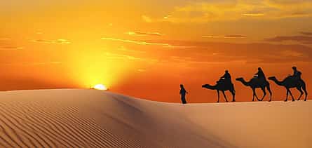 Photo 2 Oases, Adventure & Star Wars: An Epic Journey from Douz to Tozeur