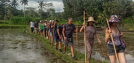 Foto 2 Bali Undisan Village, Sacred Forest & Waterfall Trekking