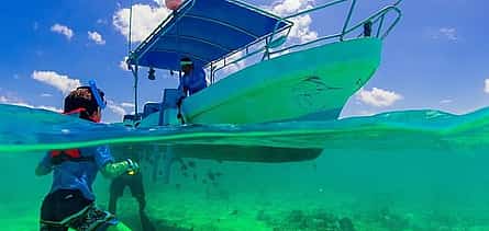 รูปภาพ 2 Private Day Trip From Cancun To Tulum, English Speaking Driver