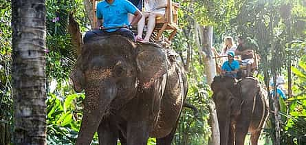 Photo 2 An Unforgettable Elephant Ride at Bali Zoo