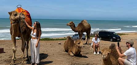 Photo 2 Tangier Camel Ride Tour with Pick-up and Drop-off