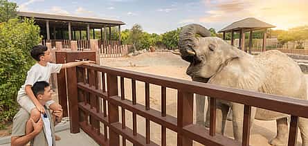 Photo 2 Private Dubai City Tour with Dubai Safari Park Visit