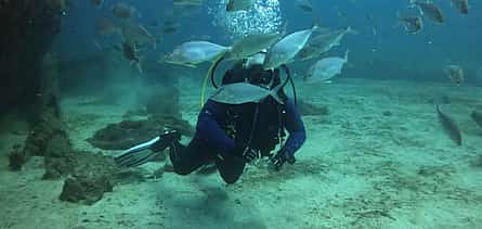 Photo 2 Explore Submerged Treasures: Scuba Diving Experience in Djerba