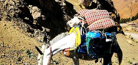 Photo 2 Day Trip from Marrakech to the Argan Cooperative
