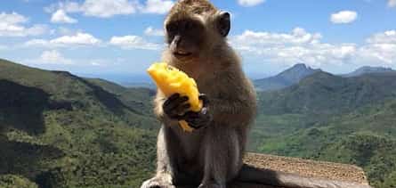 Photo 2 Романтический тур "Сердце Маврикия"
