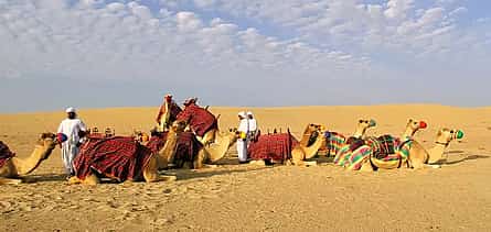 Фото 2 Джип-сафари по пустыне