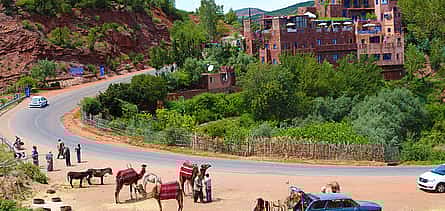 Photo 2 Private Ourika Valley Day Trip from Marrakech: Atlas Mountains & Berber Villages