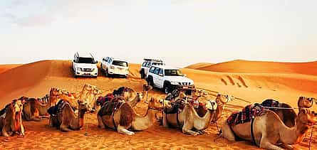 Photo 2 Wahiba Sands Desert and Wadi Bani Khalid Private Tour