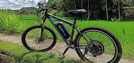 照片 2 E-bike Ubud to Tirta Empul Trip