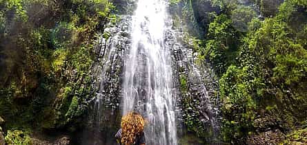 Photo 2 Materuni Waterfalls and Coffee Tour