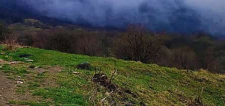 Photo 2 Vashlovani Park Tour: 3 Days of Wilderness & Adventure