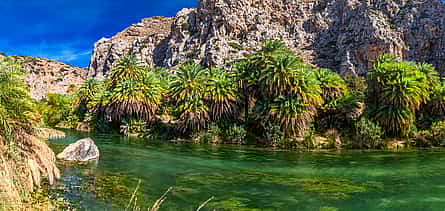 Photo 2 Original Crete : Local Farm , Garden and Food from Rethymno