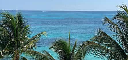 รูปภาพ 2 Private Transfer From Mahahual to Chetumal With a 2 Hour Stop