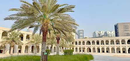 Photo 2 Qasr Al-Hosn Private Guided Tour