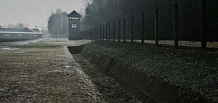 Photo 2 Private Tour from Munich to Ingolstadt + Audi Museum and Dachau