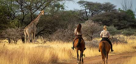 Photo 2 Horseback Safari and Cable Car Tour from Johannesburg