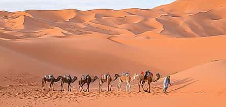 Photo 2 Ksar Ghilane Oasis, Sahara and Oasis Tour