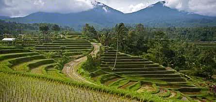 Photo 2 The Exotic of Bali