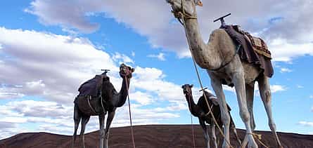 Photo 2 Full-day Tour to the Atlas Mountains from Marrakesh with Camel Ride