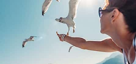 Photo 2 Halkidiki Blue Lagoon Cruise From Thessaloniki