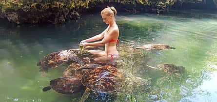 Foto 2 Zanzíbar: Excursión de medio día con guía al acuario de tortugas de Nungwi y a la playa