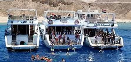 Фото 2 Boat Tour in  Sharm-El-Shiekh with Snorkeling