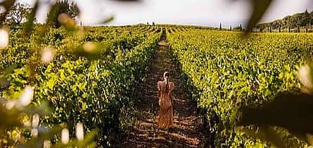 Photo 2 Rome: Private Countryside Wine Tasting Tour