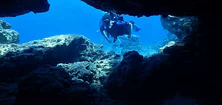 Photo 2 Guided Scuba Diving Tours (Certified divers)