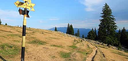 Photo 2 Piatra Craiului National Park Private Hiking Tour from Brasov