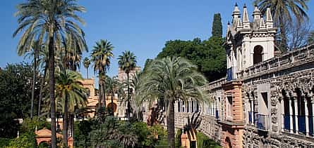 Photo 2 Seville Cathedral and Alcazar (private tour)