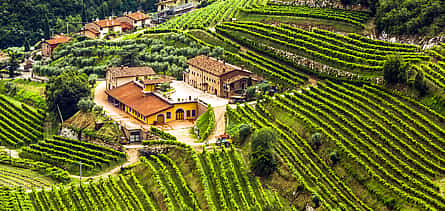 Foto 2 Ruta del vino Valpolicella y Amarone desde Bardolino