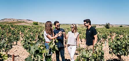 Photo 2 Ribera del Duero Winery and Segovia Tour from Madrid