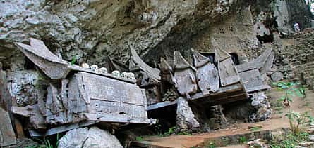 Foto 2 Sulawesi: Tour de 4 días a Toraja desde Makassar para descubrir el espíritu eterno y las tierras altas místicas.
