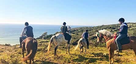 Photo 2 Tangier Mountain and Sea Horseback Riding Adventure