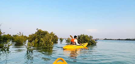 Foto 2 Aventura en kayak por los manglares