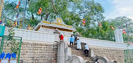 Фото 2 Однодневная экскурсия в исторический город Анурадхапура из Коломбо