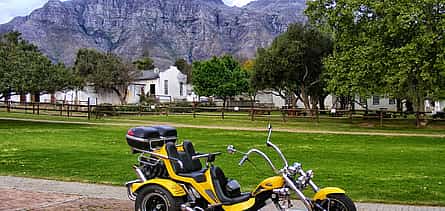 Foto 2 Excursión de un día en triciclo por los viñedos del Cabo