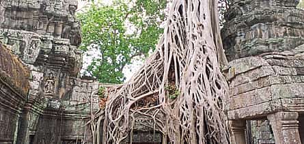 Photo 2 Private One Day Trip-The Best Experience in Siem Reap
