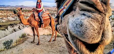 Фото 2 Meet the Cute Camels: Enjoyable Camel Tour