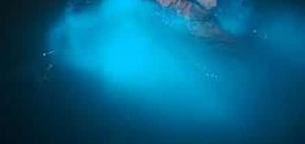 Photo 2 Luminous Lagoon Private Tour