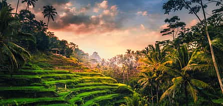 Photo 2 Bali Customizable Private Tour