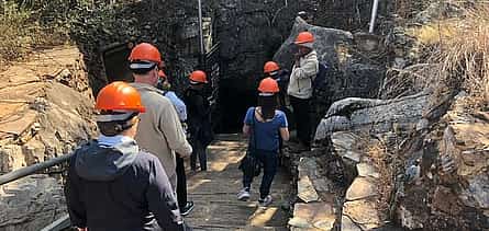 Photo 2 Half Day Cradle Of Humankind Tour