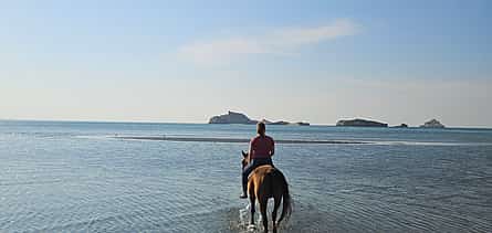 Photo 2 Horse Riding Muscat, 2-hour Trip